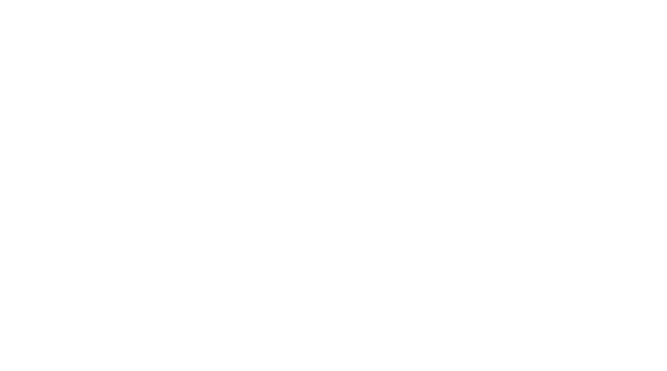 Sinaha Lanka Tours