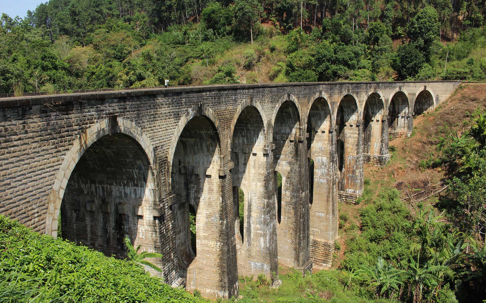 history-sinaha-lanka-tours (7)